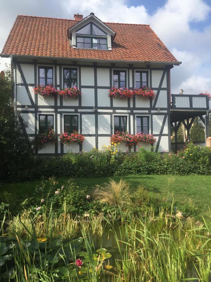 Schoene Gemuetliche Ferienwohnung Mit Kamin II Im Harz Darlingerode Exterior foto