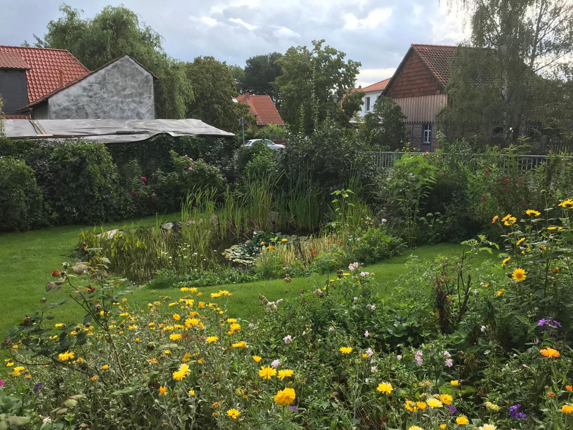 Schoene Gemuetliche Ferienwohnung Mit Kamin II Im Harz Darlingerode Exterior foto